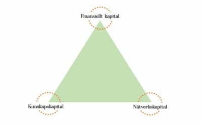 Tre sorters kapital